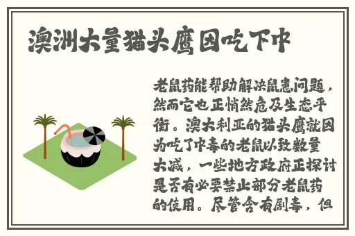 久久er热在这里只有精品2007